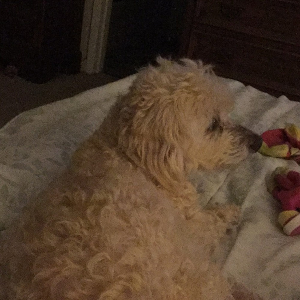 Meet your Posher, Katy-ann